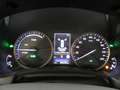 Lexus NX 300h Hybrid 4WD Premium Grigio - thumbnail 12