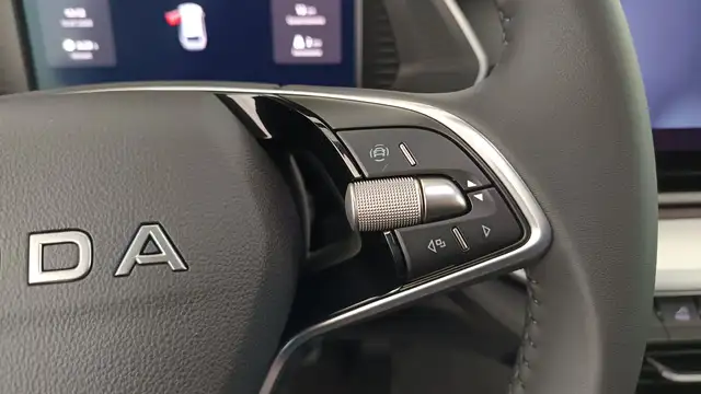 Skoda Octavia view 15