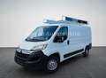 Citroen Jumper L2H1 Profi BlueHDi 130 *LANG*KLIMA*AHK* - thumbnail 1