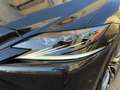Lexus LS 500 500h Executive AWD Negro - thumbnail 23