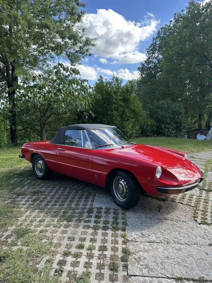Alfa Romeo Spider 1.6 Junior, foto 3