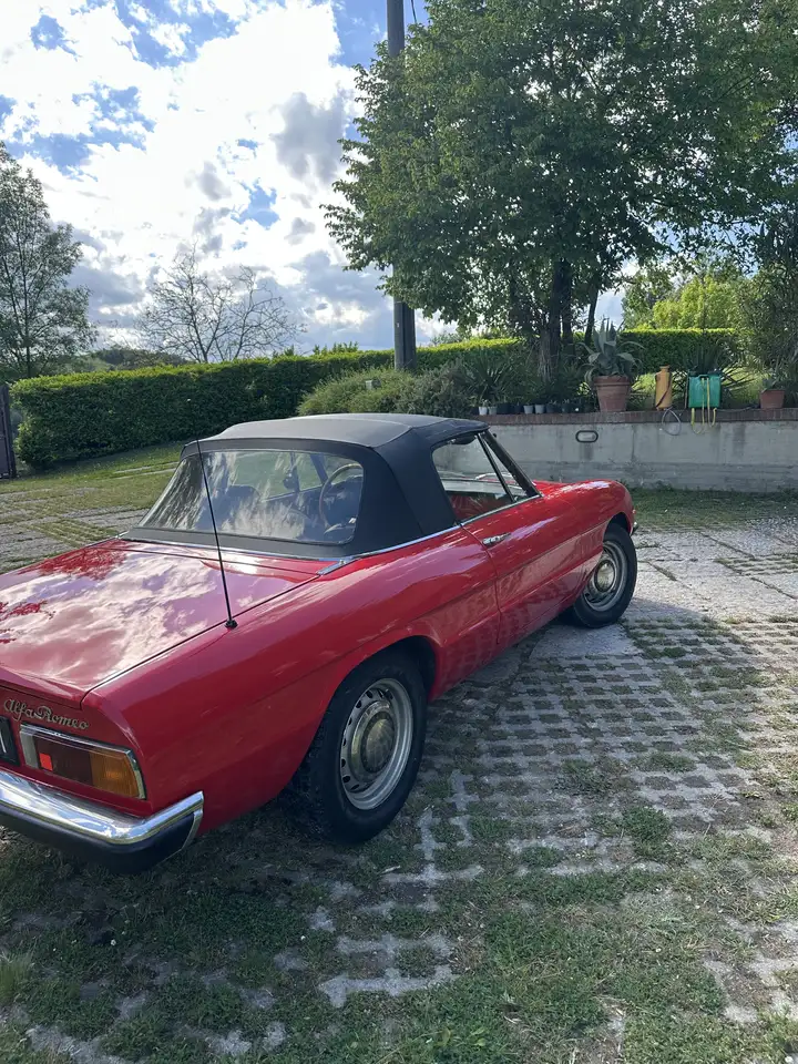 Alfa Romeo Spider 1.6 Junior, foto 4