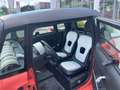 Fiat Topolino Corallo Orange - thumbnail 8