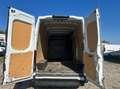 Iveco Daily 35 S12 V H2 3520 E6d-temp +iva Weiß - thumbnail 8