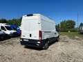 Iveco Daily 35 S12 V H2 3520 E6d-temp +iva Weiß - thumbnail 7