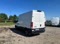 Iveco Daily 35 S12 V H2 3520 E6d-temp +iva Weiß - thumbnail 5