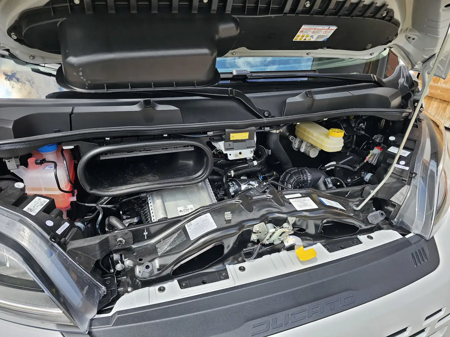 Car Image 31