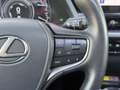 Lexus UX 250h Executive Line | Schuifdak, Head up display, Leer, Zilver - thumbnail 17