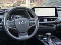 Lexus UX 250h Executive Line | Schuifdak, Head up display, Leer, Zilver - thumbnail 5