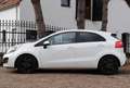 Kia Rio 1.2 CVVT Plus Pack |Airco Blanc - thumbnail 2