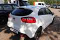 Kia Rio 1.2 CVVT Plus Pack |Airco Blanc - thumbnail 19