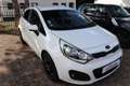 Kia Rio 1.2 CVVT Plus Pack |Airco Blanc - thumbnail 20