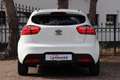 Kia Rio 1.2 CVVT Plus Pack |Airco Blanc - thumbnail 4
