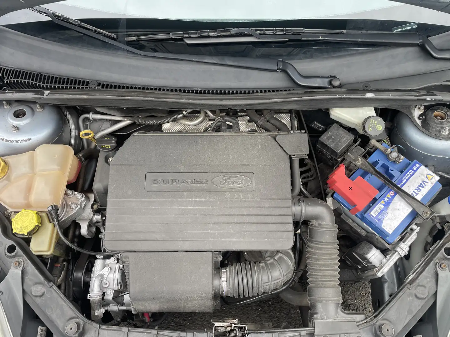 Ford Fiesta 5p 1.4i Ghia c/clima cat. - 1