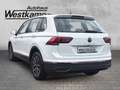 Volkswagen Tiguan Life 2,0 TDI 6-Gang Anh.Kpl. Ganzj.Reifen Weiß - thumbnail 3