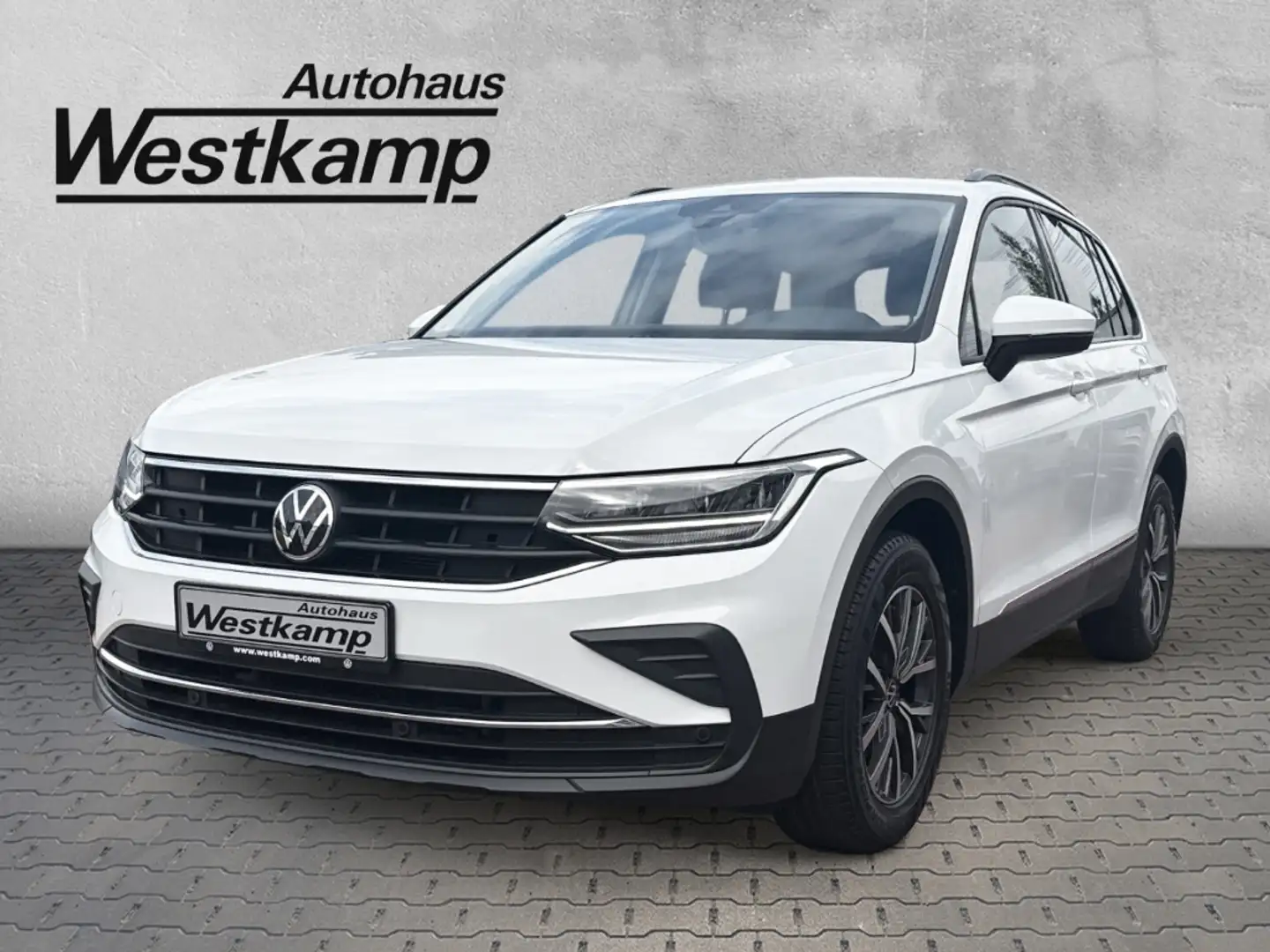 Volkswagen Tiguan Life 2,0 TDI 6-Gang Anh.Kpl. Ganzj.Reifen Blanc - 1