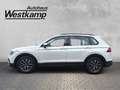 Volkswagen Tiguan Life 2,0 TDI 6-Gang Anh.Kpl. Ganzj.Reifen Weiß - thumbnail 2