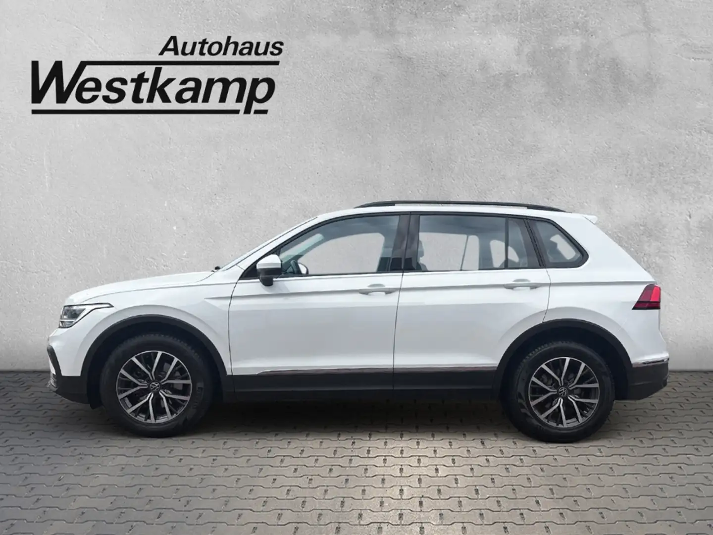 Volkswagen Tiguan Life 2,0 TDI 6-Gang Anh.Kpl. Ganzj.Reifen Blanc - 2