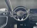 Kia XCeed PHEV Platinum Plug-in Hybrid AHK Navi Memory Sitze Blanco - thumbnail 16