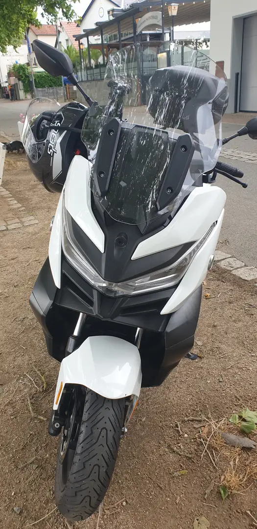 Voge SR4 Max 350 Roller voge sr4 Max Alb - 2