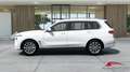 BMW X7 xDrive40i 48V Bianco - thumbnail 4