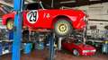 Alfa Romeo GTV GT 1750 - GtaM Neuaufbau - Straßenzulassung Rojo - thumbnail 21