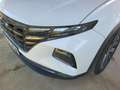 Hyundai TUCSON 1.6 CRDI Maxx 4x2 Blanco - thumbnail 21