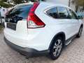 Honda CR-V Lifestyle 2WD Weiß - thumbnail 5