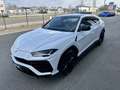 Lamborghini Urus Urus 4.0 V8 650 ch BVA8 Blanc - thumbnail 6