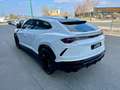 Lamborghini Urus Urus 4.0 V8 650 ch BVA8 Blanc - thumbnail 5