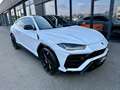 Lamborghini Urus Urus 4.0 V8 650 ch BVA8 Blanc - thumbnail 2