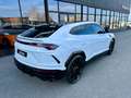 Lamborghini Urus Urus 4.0 V8 650 ch BVA8 Blanc - thumbnail 3