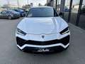 Lamborghini Urus Urus 4.0 V8 650 ch BVA8 Blanc - thumbnail 7
