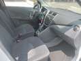 Suzuki Celerio 1.0  5 P. "EASY" BIFUEL GPL *ok neopatentati* Bianco - thumbnail 8