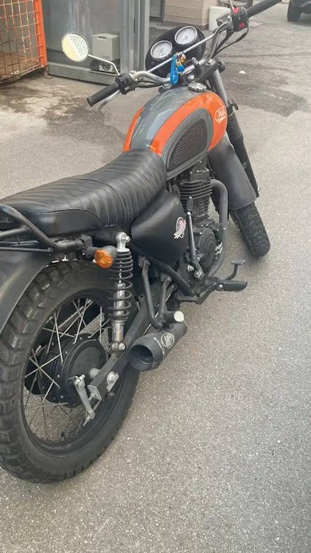 Mash Scrambler Arancione - 1