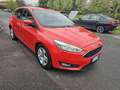 Ford Focus 1.0 EcoBoost 100 CV Rosso - thumbnail 7