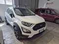 Ford EcoSport 1.0 ecoboost Active s Bianco - thumbnail 4