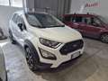 Ford EcoSport 1.0 ecoboost Active s Bianco - thumbnail 5