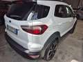 Ford EcoSport 1.0 ecoboost Active s Bianco - thumbnail 12