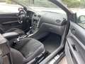 Ford Focus CC Coupe-Cabriolet 2.0 16V Black Magic - thumbnail 9