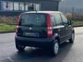 Fiat Panda 1.2 8V Classic Schwarz - thumbnail 5