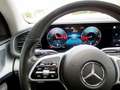 Mercedes-Benz GLE 300 d 4M *AMG*PANO*360CAM*CARPLAY*TREKHAAK*DISTRONIC* Vert - thumbnail 20