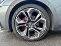 Skoda Octavia 2,0 TDI RS 4x4 DSG Grau - thumbnail 20