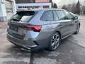 Skoda Octavia 2,0 TDI RS 4x4 DSG Grau - thumbnail 5