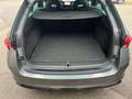 Skoda Octavia 2,0 TDI RS 4x4 DSG Grau - thumbnail 19