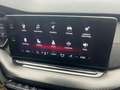 Skoda Octavia 2,0 TDI RS 4x4 DSG Grau - thumbnail 14