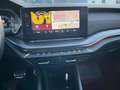 Skoda Octavia 2,0 TDI RS 4x4 DSG Grau - thumbnail 12