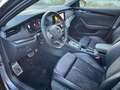 Skoda Octavia 2,0 TDI RS 4x4 DSG Grau - thumbnail 9