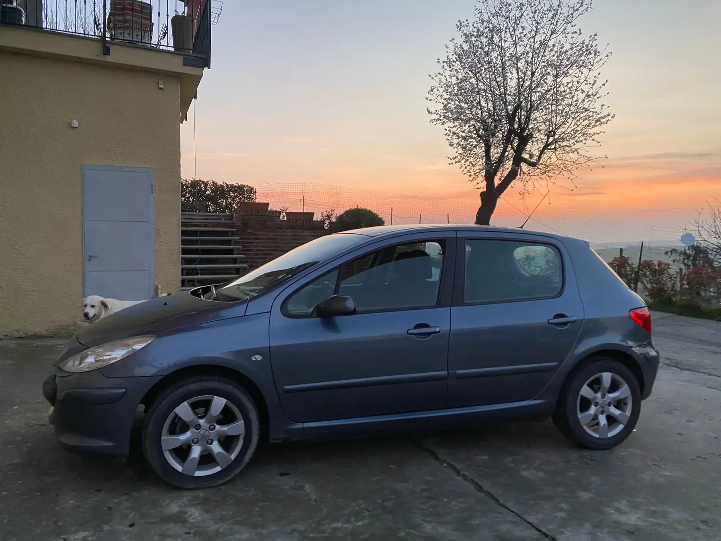 Peugeot 307 Argento - 1