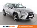 Lexus NX 300h NX 300h E-Four Business Line Gris - thumbnail 8